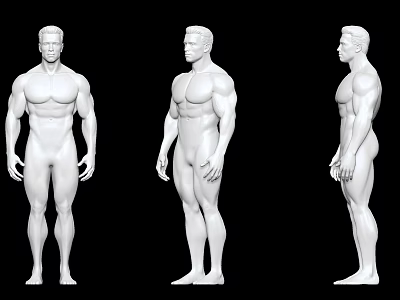 Male Muscular Model Three Angles Front Side Back 3D Render Black Background 3d model