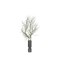 Black Vase Decor With Twig Branches And Curved Moss Covered Branch