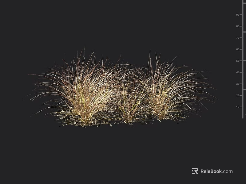 Golden Brown Ornamental Grasses With Slender Leaves For Garden Landscape Decoration 3d model 