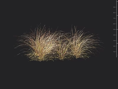 Golden Brown Ornamental Grasses With Slender Leaves For Garden Landscape Decoration 3d model