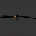 Modern Butterfly Colored Butterfly Tabby Butterfly Leaf Butterfly 3d model