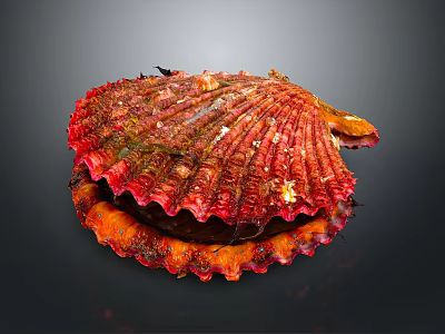 Vibrant Red and Orange Textured Scallop Shell with Encrusted Mossy Details 3d model