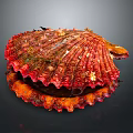 Vibrant Red and Orange Textured Scallop Shell with Encrusted Mossy Details