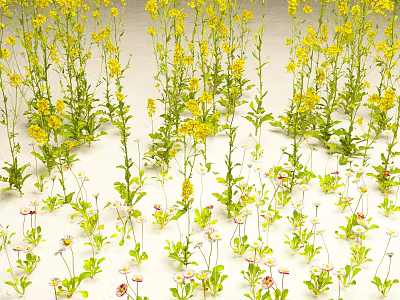 Busy Bees Collecting Nectar From Yellow Flowers In Green Meadow With Pink Blossoms 3d model