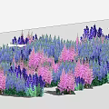 Vibrant Purple And Pink Flowers Blooming In Lush Garden Field With Green Foliage