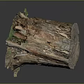 Rustic Wooden Stump With Natural Texture And Visible Tree Rings And Mossy Bark