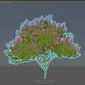 Flowering Arbor With Vibrant Pink Blossoms And Lush Green Leaves In Blue Sky Environment