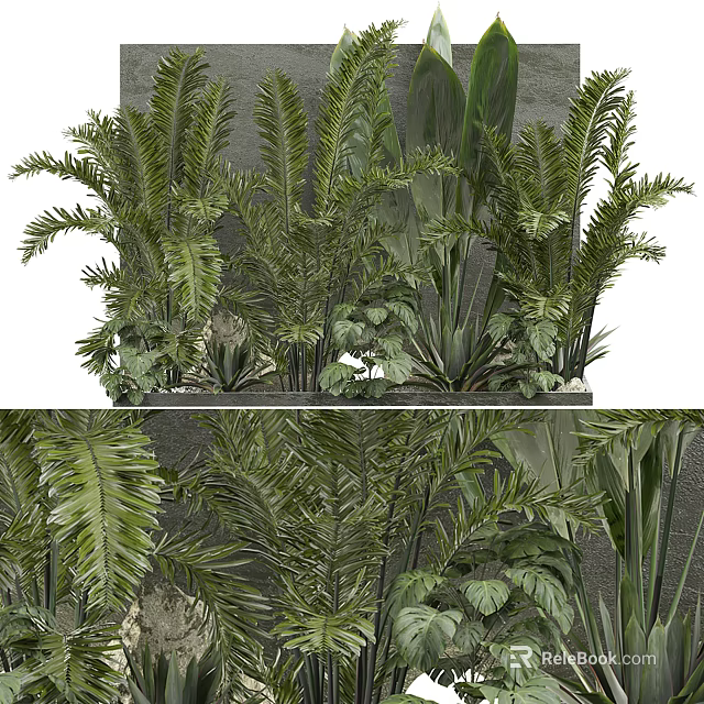 Lush Green Tropical Potted Plants With Feathery Leaves And Fern Foliage For Indoor Decor 3d model 