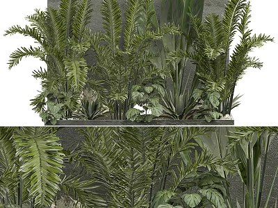 Lush Green Tropical Potted Plants With Feathery Leaves And Fern Foliage For Indoor Decor 3d model