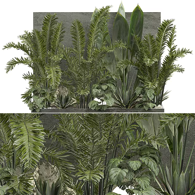 Lush Green Tropical Potted Plants With Feathery Leaves And Fern Foliage For Indoor Decor 3d model
