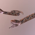 Two Snakes With Open Mouths And Patterned Skin Close Up View 3d model