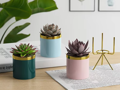 Elegant Succulent Bonsai Plants in Colorful Gold Rimmed Pots for Indoor Decor 3d model