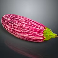 Fresh Purple Striped Eggplant with Green Stem on Dark Reflective Surface