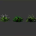 Collection of Green Plant Leaves with Various Shapes and Sizes on Dark Gray Background