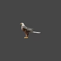 Low Poly Eagle Standing With Spread Wings And Brown White Feathers