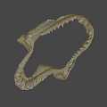 Shark Jawbone Skeleton Fossil Display In University Research Lab