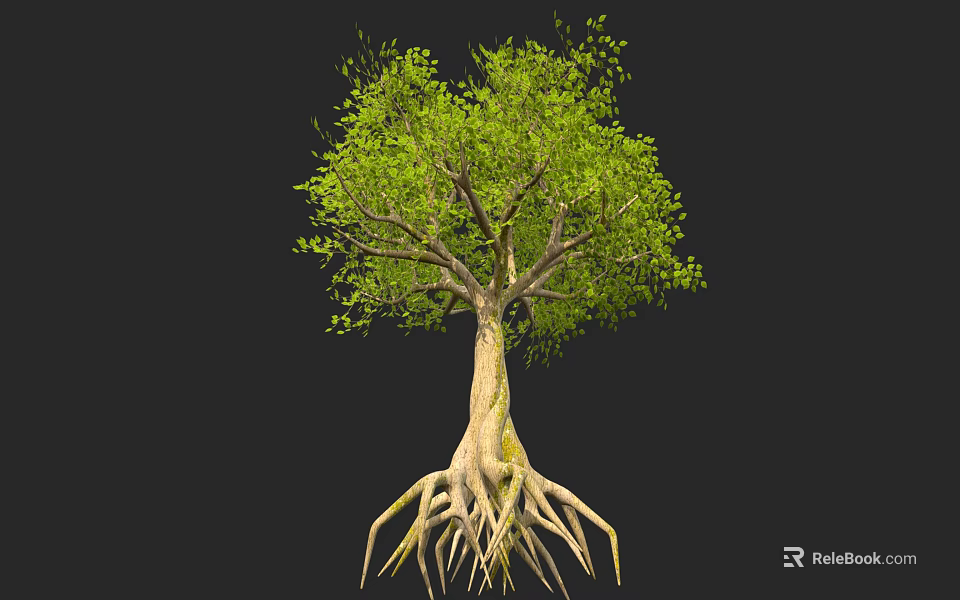 Tall Tree With Exposed Roots And Lush Green Leaves In Natural Scene 3d model 