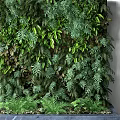 Living Plant Wall With Lush Green Foliage And Various Leaf Types For Indoor Decor