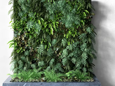 Living Plant Wall With Lush Green Foliage And Various Leaf Types For Indoor Decor 3d model