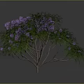 Vibrant Plant Featuring Purple Flowers Lush Green Leaves And Brown Branches