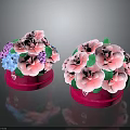 Decorative Potted Plants With Pink Flowers Purple Blue Small Blooms Green Leaves In Pink Pots