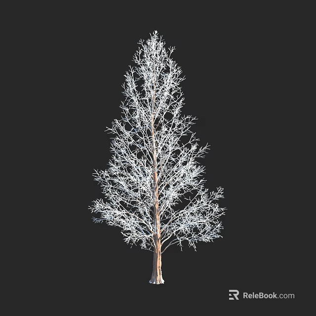Tall Arbor With Bare Branches Isolated On Black Background Detailed Structure 3d model 