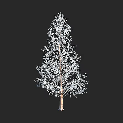 Tall Arbor With Bare Branches Isolated On Black Background Detailed Structure 3d model
