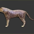Realistic Cheetah Sculpture With Spotted Pattern Standing On Dark Surface Showing Reflection 3d model