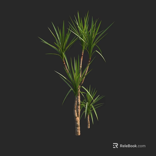 Multiple Green Shrubs with Long Thin Leaves and Brown Stems 3d model 