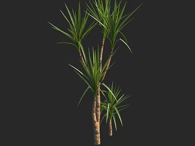 Multiple Green Shrubs with Long Thin Leaves and Brown Stems 3d model