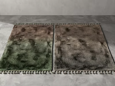 Two Square Rugs With Gradient Green Brown And Gray Brown Fringed Edges 3d model