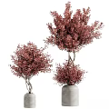 Indoor Decorative Bonsai Plants With Red Leaves In Gray Ceramic Pots