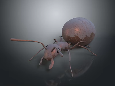 Detailed 3D Rendered Ant With Large Round Abdomen On Smooth Dark Surface With Reflection 3d model