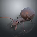 Detailed 3D Rendered Ant With Large Round Abdomen On Smooth Dark Surface With Reflection