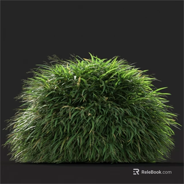Lush Green Round Grass Bush With Dense Foliage And Vibrant Leaves 3d model 