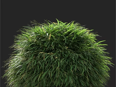 Lush Green Round Grass Bush With Dense Foliage And Vibrant Leaves 3d model