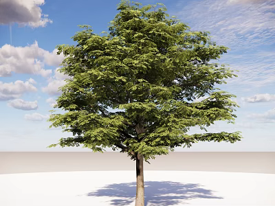 Tall Tree With Lush Green Foliage Standing Against Blue Sky And White Clouds 3d model