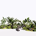 Various Green Tropical Plants With Lush Foliage And Decorative Stones Arrangement