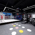 Modern Gym Interior With Boxing Ring Fitness Equipment And Colorful Floor Dots
