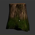 Natural Tree Stump Stool With Rough Wood Grain And Green Textured Base