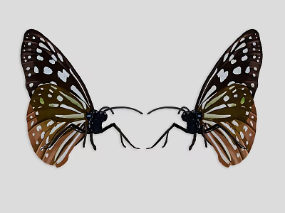 Two Beautiful Butterflies With Black White Brown Green Wings And Symmetrical Pattern On Light Background 3d model