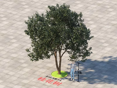 Cherry Blossom Arbor with Green Base and Person Standing on Square Paved Ground 3d model