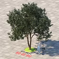 Cherry Blossom Arbor with Green Base and Person Standing on Square Paved Ground