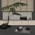 Decorative Bonsai Plant On Modern Kitchen Countertop With Perforated Cabinets And Open Magazine