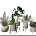 Various Green Bonsai Potted Plants In White Ceramic Pots On Small Wooden Stands