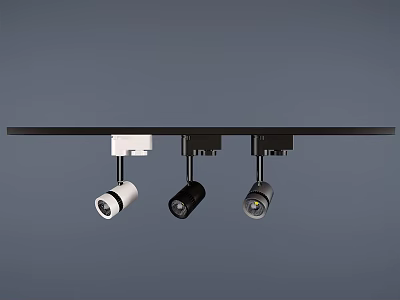 Modern Downlights And Spotlights With Sleek Design And Multiple Color Options 3d model