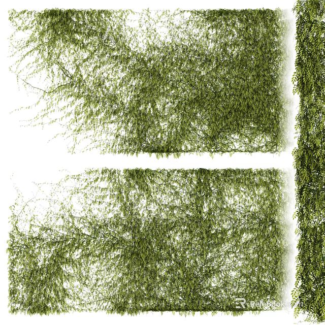 Lush Green Vines with Dense Foliage as Natural Decorative Wall Covering for Indoor Spaces 3d model 