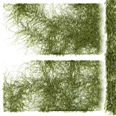Lush Green Vines with Dense Foliage as Natural Decorative Wall Covering for Indoor Spaces 3d model