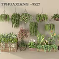 Various Hanging Green Plants with Different Foliage and Wooden Planters for Indoor Decoration