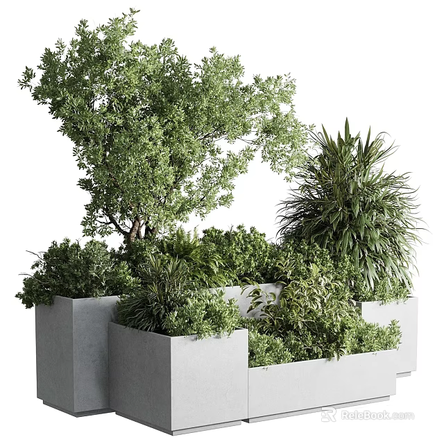 Various Green Plants Growing In Gray Planters With Different Heights Trees And Shrubs 3d model 